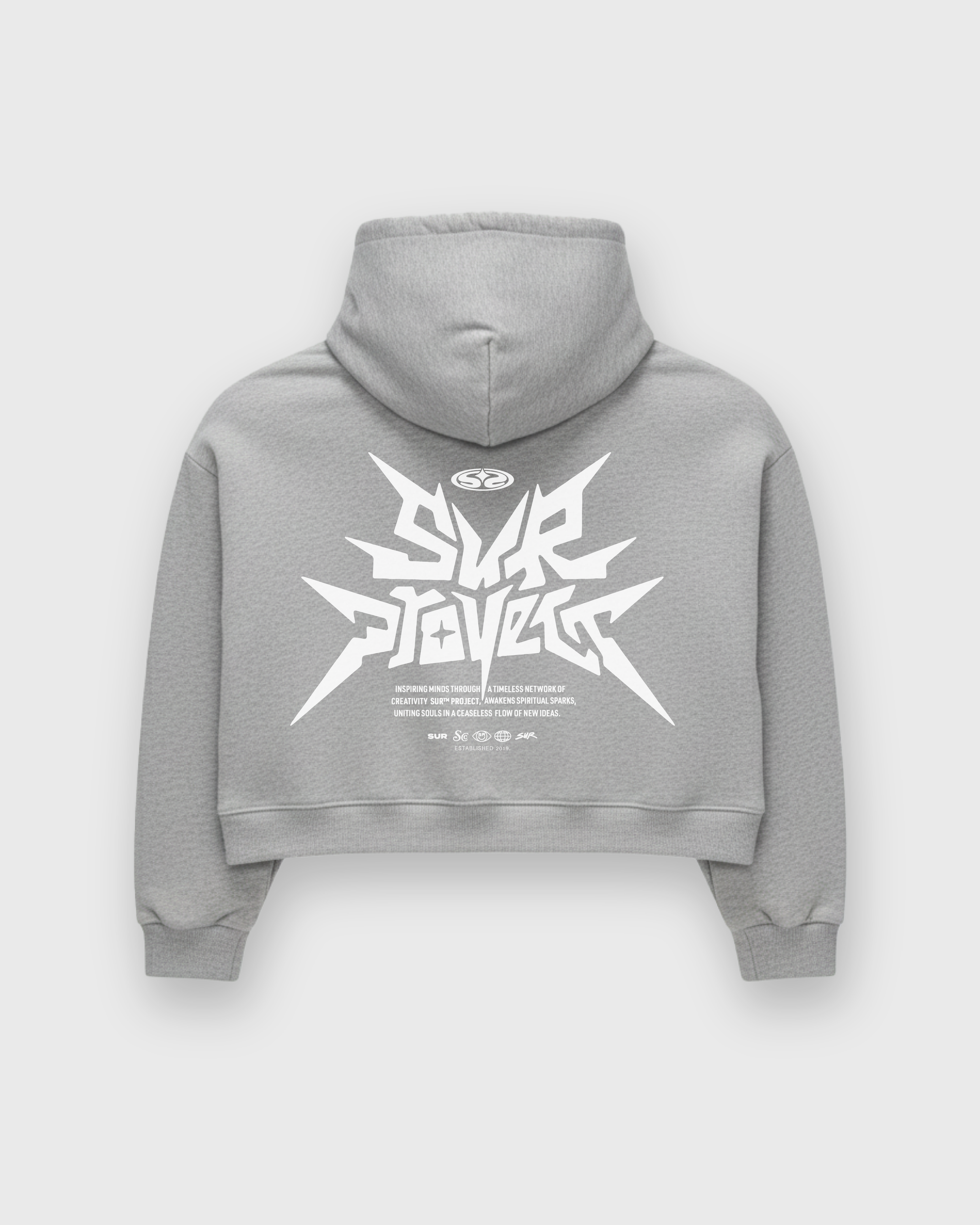 Distorted Vision Gray Boxy Hoodie | Sur Project®